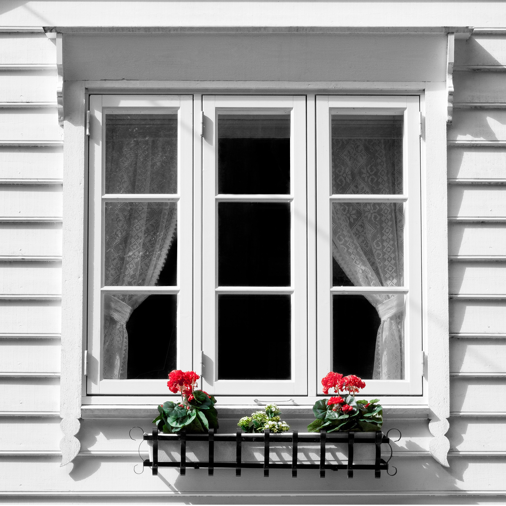 Window with flower rack