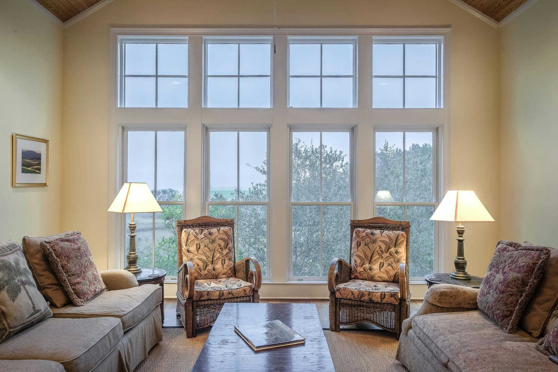 Living Room Windows